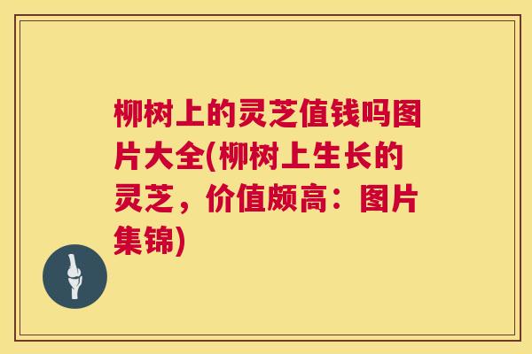 柳树上的灵芝值钱吗图片大全(柳树上生长的灵芝，价值颇高：图片集锦)