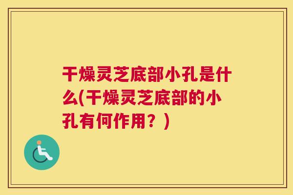 干燥灵芝底部小孔是什么(干燥灵芝底部的小孔有何作用？)