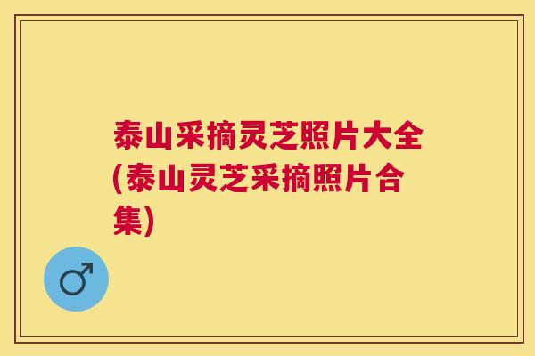 泰山采摘灵芝照片大全(泰山灵芝采摘照片合集)