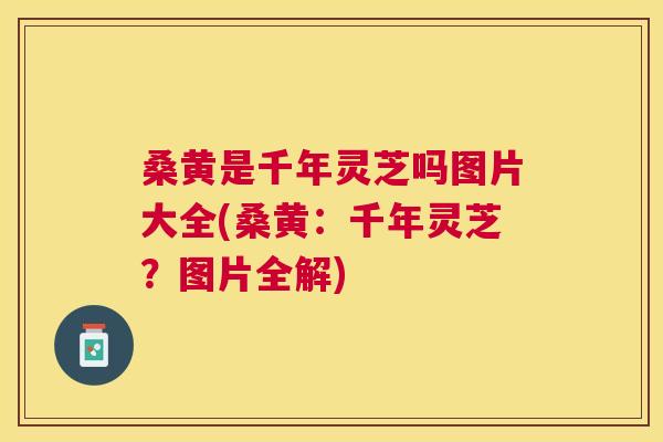 桑黄是千年灵芝吗图片大全(桑黄：千年灵芝？图片全解)