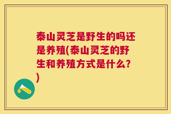 泰山灵芝是野生的吗还是养殖(泰山灵芝的野生和养殖方式是什么？)