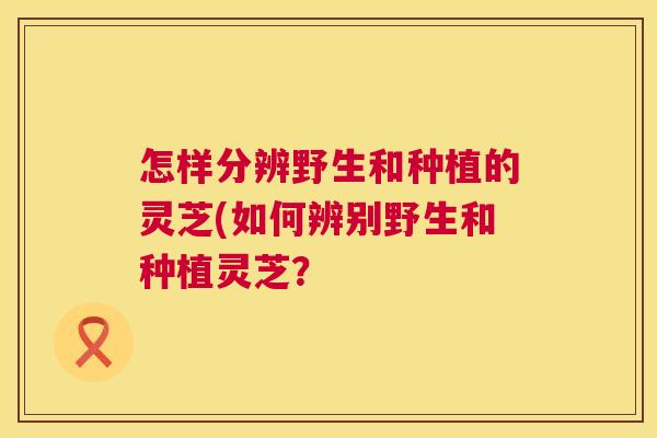 怎样分辨野生和种植的灵芝(如何辨别野生和种植灵芝? 怎样分辨野生和种植的灵芝(如何辨别野生和种植灵芝?
