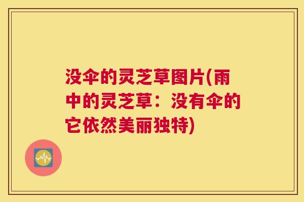 没伞的灵芝草图片(雨中的灵芝草：没有伞的它依然美丽独特)
