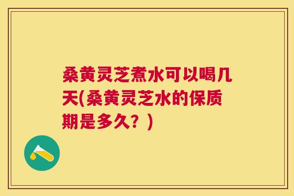 桑黄灵芝煮水可以喝几天(桑黄灵芝水的保质期是多久？)