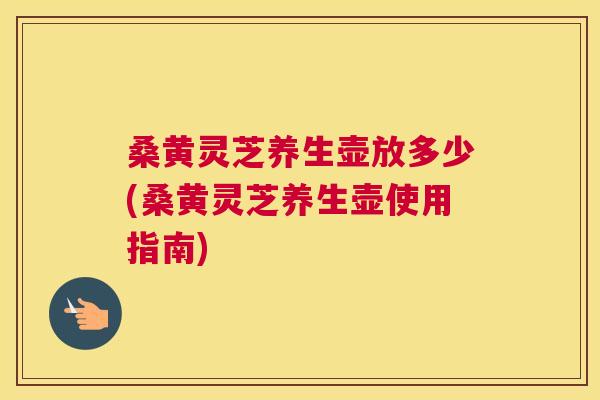 桑黄灵芝养生壶放多少(桑黄灵芝养生壶使用指南)