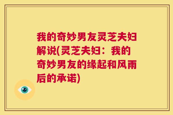 我的奇妙男友灵芝夫妇解说(灵芝夫妇：我的奇妙男友的缘起和风雨后的承诺)