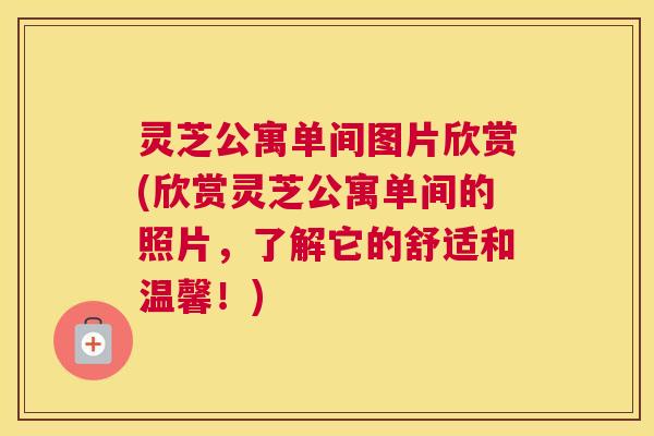 灵芝公寓单间图片欣赏(欣赏灵芝公寓单间的照片，了解它的舒适和温馨！)