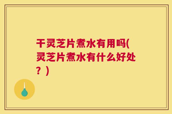 干灵芝片煮水有用吗(灵芝片煮水有什么好处？)
