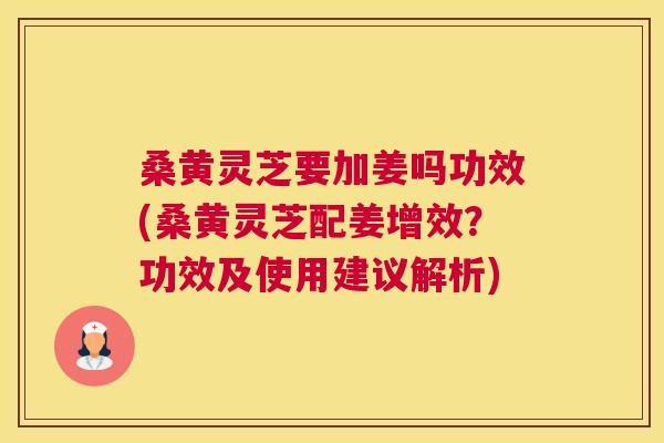 桑黄灵芝要加姜吗功效(桑黄灵芝配姜增效？功效及使用建议解析)