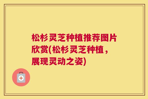 松杉灵芝种植推荐图片欣赏(松杉灵芝种植，展现灵动之姿)
