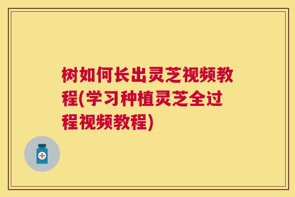 树如何长出灵芝视频教程(学习种植灵芝全过程视频教程)