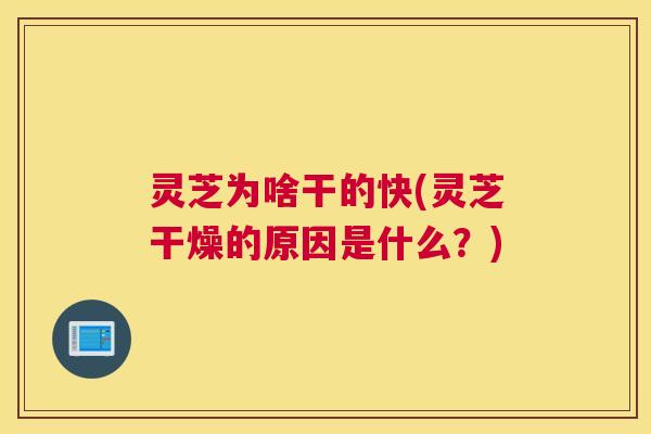 灵芝为啥干的快(灵芝干燥的原因是什么?) 灵芝为啥干的快(灵芝干燥的原因是什么?)