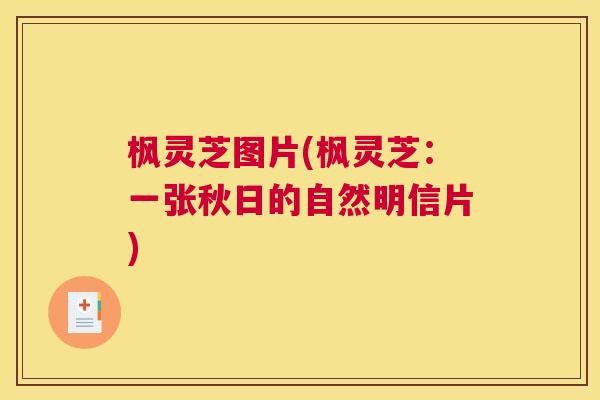枫灵芝图片(枫灵芝：一张秋日的自然明信片)