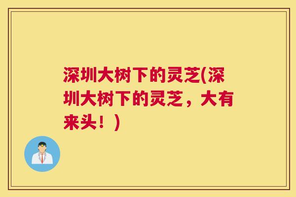 深圳大树下的灵芝(深圳大树下的灵芝，大有来头！)
