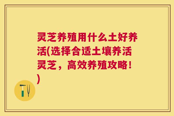 灵芝养殖用什么土好养活(选择合适土壤养活灵芝，高效养殖攻略！)