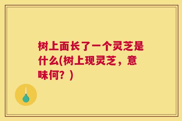 树上面长了一个灵芝是什么(树上现灵芝，意味何？)