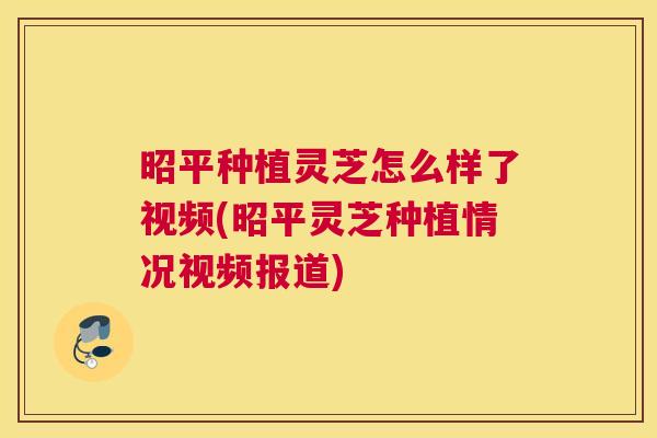 昭平种植灵芝怎么样了视频(昭平灵芝种植情况视频报道)