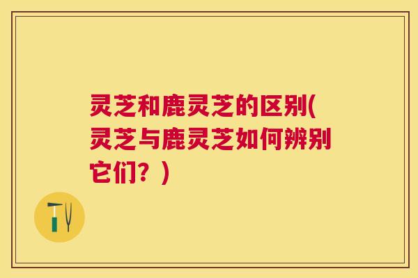 灵芝和鹿灵芝的区别(灵芝与鹿灵芝如何辨别它们？)