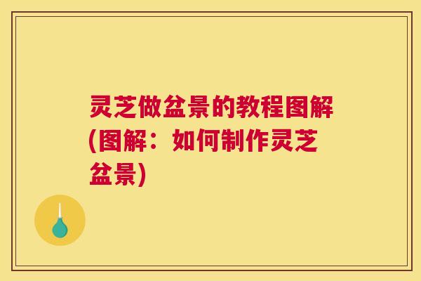 灵芝做盆景的教程图解(图解：如何制作灵芝盆景)