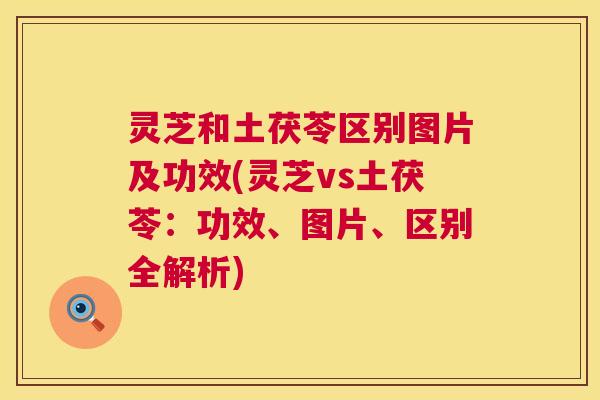 灵芝和土茯苓区别图片及功效(灵芝vs土茯苓：功效、图片、区别全解析)