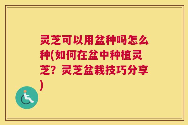 灵芝可以用盆种吗怎么种(如何在盆中种植灵芝？灵芝盆栽技巧分享)