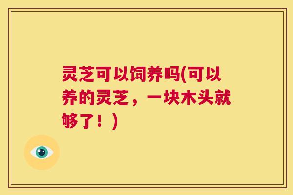 灵芝可以饲养吗(可以养的灵芝，一块木头就够了！)