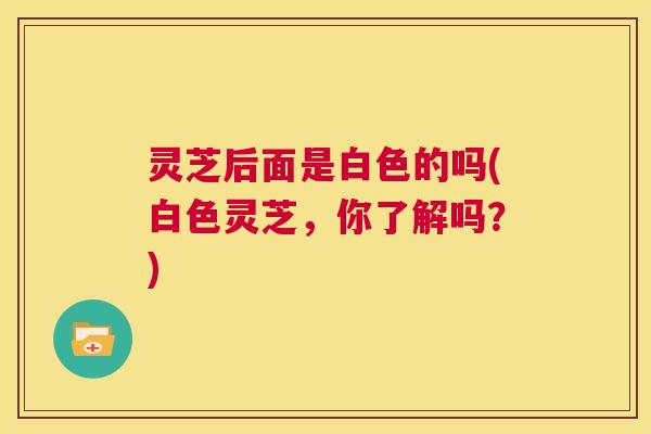 灵芝后面是白色的吗(白色灵芝,你了解吗?) 灵芝后面是白色的吗(白色灵芝,你了解吗?)