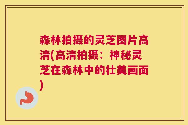 森林拍摄的灵芝图片高清(高清拍摄：神秘灵芝在森林中的壮美画面)