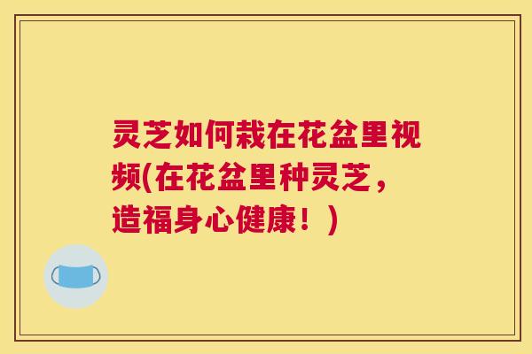 灵芝如何栽在花盆里视频(在花盆里种灵芝，造福身心健康！)
