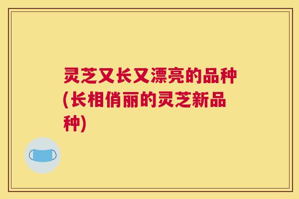 灵芝又长又漂亮的品种(长相俏丽的灵芝新品种)
