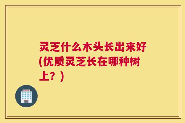 灵芝什么木头长出来好(优质灵芝长在哪种树上？)