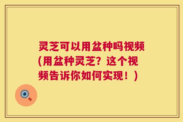 灵芝可以用盆种吗视频(用盆种灵芝？这个视频告诉你如何实现！)