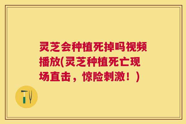 灵芝会种植死掉吗视频播放(灵芝种植死亡现场直击，惊险刺激！)