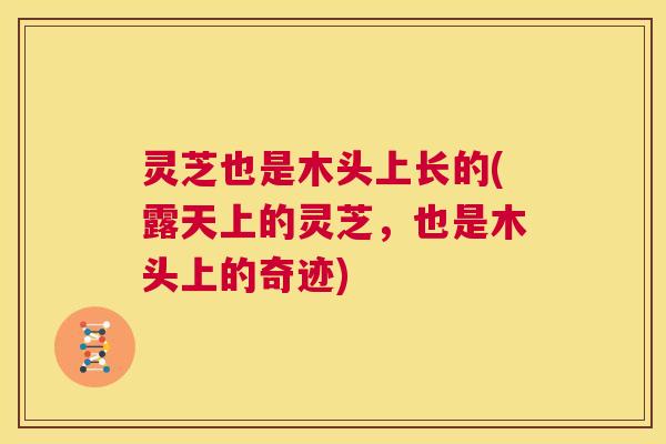 灵芝也是木头上长的(露天上的灵芝，也是木头上的奇迹)