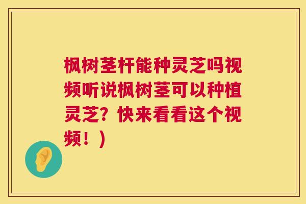 枫树茎杆能种灵芝吗视频听说枫树茎可以种植灵芝？快来看看这个视频！)