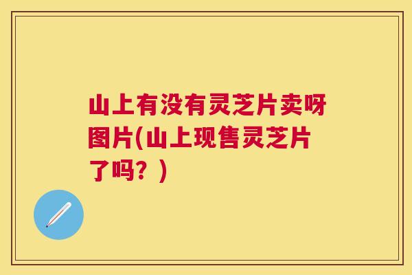 山上有没有灵芝片卖呀图片(山上现售灵芝片了吗？)