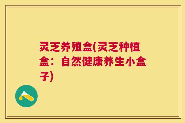 灵芝养殖盒(灵芝种植盒：自然健康养生小盒子)