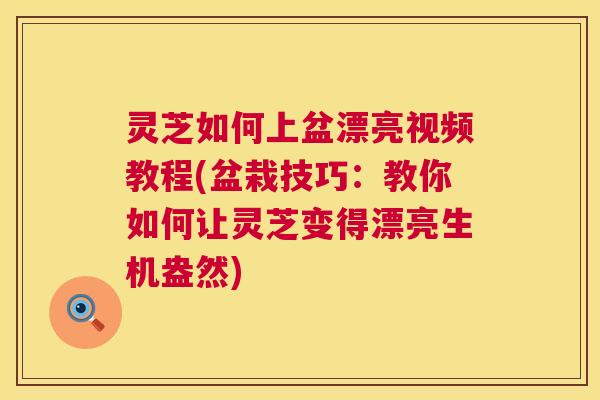 灵芝如何上盆漂亮视频教程(盆栽技巧：教你如何让灵芝变得漂亮生机盎然)