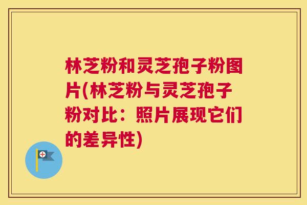 林芝粉和灵芝孢子粉图片(林芝粉与灵芝孢子粉对比:照片展现它们的差异性) 林芝粉和灵芝孢子粉图片(林芝粉与灵芝孢子粉对比:照片展现它们的差异性)