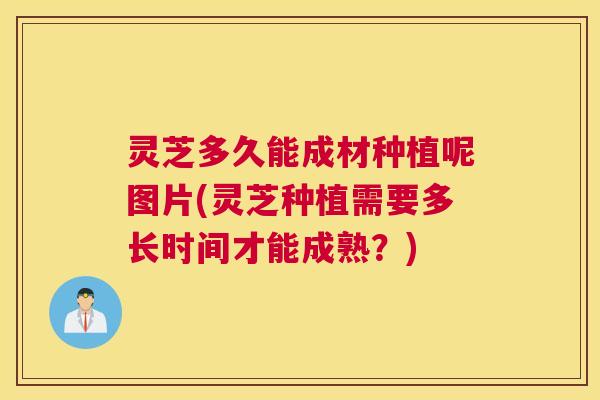 灵芝多久能成材种植呢图片(灵芝种植需要多长时间才能成熟？)