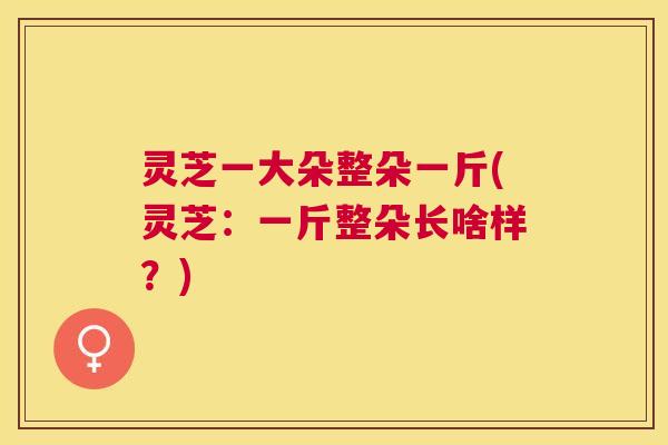 灵芝一大朵整朵一斤(灵芝：一斤整朵长啥样？)