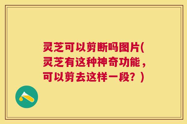 灵芝可以剪断吗图片(灵芝有这种神奇功能，可以剪去这样一段？)