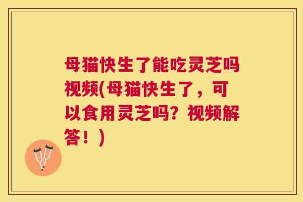 母猫快生了能吃灵芝吗视频(母猫快生了，可以食用灵芝吗？视频解答！)