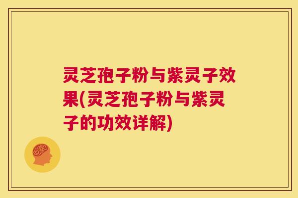 灵芝孢子粉与紫灵子效果(灵芝孢子粉与紫灵子的功效详解)