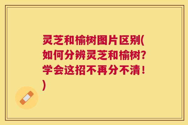 灵芝和榆树图片区别(如何分辨灵芝和榆树?学会这招不再分不清!) 灵芝和榆树图片区别(如何分辨灵芝和榆树?学会这招不再分不清!)