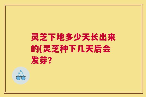 灵芝下地多少天长出来的(灵芝种下几天后会发芽？