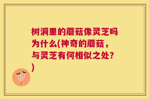 树洞里的蘑菇像灵芝吗为什么(神奇的蘑菇,与灵芝有何相似之处?) 树洞里的蘑菇像灵芝吗为什么(神奇的蘑菇,与灵芝有何相似之处?)