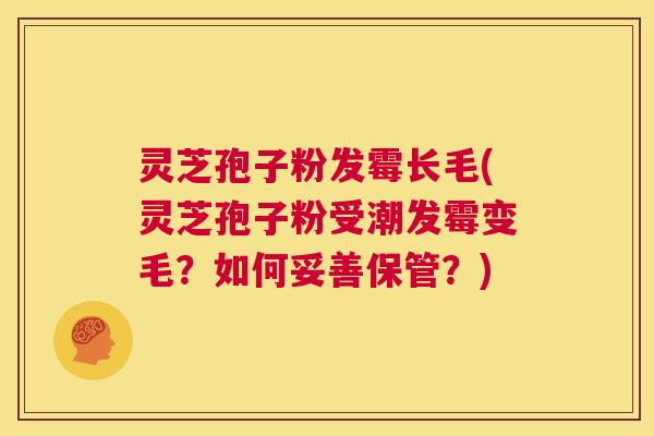 灵芝孢子粉发霉长毛(灵芝孢子粉受潮发霉变毛？如何妥善保管？)