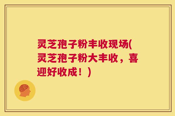 灵芝孢子粉丰收现场(灵芝孢子粉大丰收，喜迎好收成！)