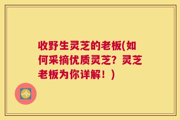 收野生灵芝的老板(如何采摘优质灵芝?灵芝老板为你详解!) 收野生灵芝的老板(如何采摘优质灵芝?灵芝老板为你详解!)